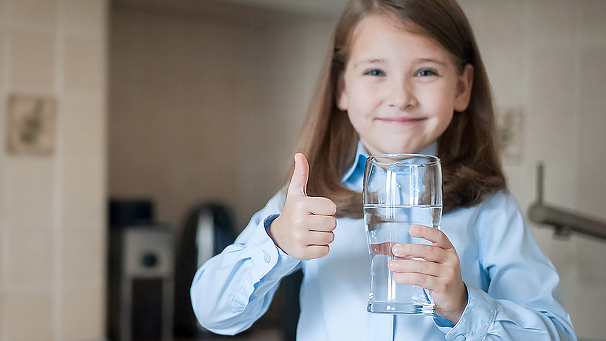 Iron Filtration Installation in New Port Richey, FL